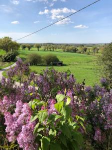 a park with flowers and a bench in a field at A la terre ferme in Arnac-la-Poste