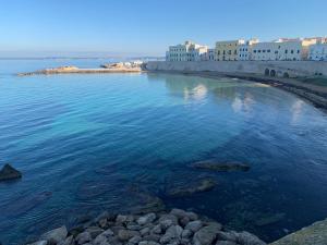 a large body of water with buildings and houses at Chicca's Apartments Gallipoli in Gallipoli