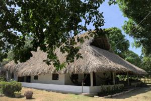 a building with a thatched roof and a tree at La Coralina azul in San Bernardo del Viento