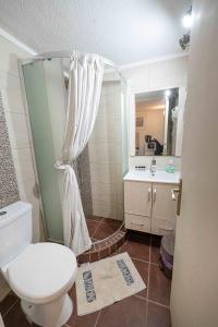 a bathroom with a toilet and a shower and a sink at Rania Bella Vista Studios in Poros +56 photos