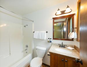 a bathroom with a toilet and a sink and a shower at Sol Duc Hot Springs Resort in Ovington +31 photos