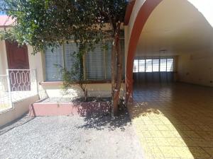 a building with a tree in a courtyard at Casa Emilio Carranza, Linares in Linares