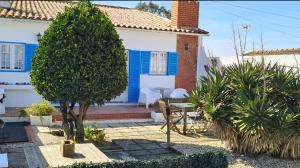 a blue and white house with a tree in front of it at Casa de Praia in Vila do Conde