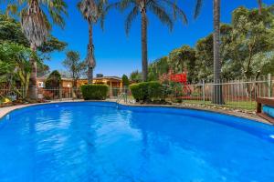 a large blue swimming pool with palm trees at Relax Refresh Rejuvenate Pool Cabin Garden Tree house Vintage charm in Berwick