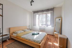 a bedroom with a bed and a large window at Appartement cosy à Strasbourg in Strasbourg
