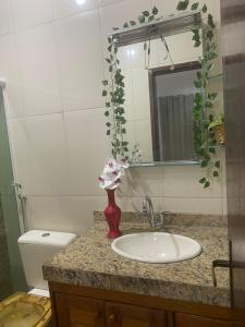 a bathroom with a sink and a red vase with flowers at Casa dá Jo in Rio das Ostras