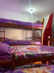 a bedroom with two bunk beds with purple sheets at Hostel Namastê in Maceió +12 photos