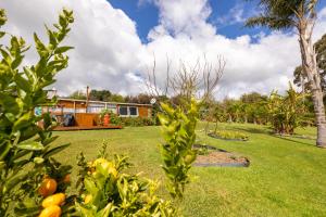 a garden with a house in the background at The Shack in Mangonui