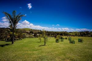 a green field with trees and a palm tree at The Shack in Mangonui +10 photos