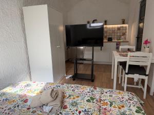 a bedroom with a bed and a flat screen tv at La Casa de Nido-Cozy Studio in Veszprémfajsz