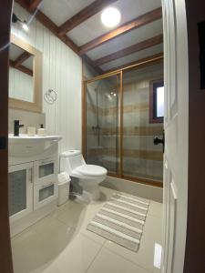 a bathroom with a toilet and a glass shower at Refugio Matteo&Colo Sur de Chile in Panguipulli