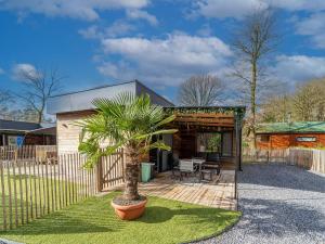 a house with a palm tree in the yard at Aperol Spritz in Zutendaal