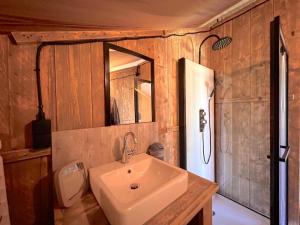 a bathroom with a sink and a shower at De Mier in Hulshorst +29 photos