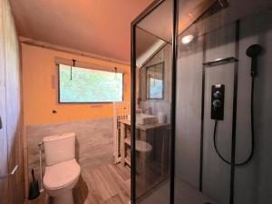 a small bathroom with a toilet and a shower at de Krekel in Hulshorst +19 photos
