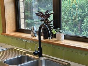 a sink in a kitchen with a window at Tarkine Retreat in Penguin