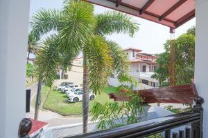 a palm tree on a balcony with a view of a parking lot at lumiere south Residence in Matara
