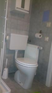 a bathroom with a white toilet in a room at Hefenscherbauer in Annaberg im Lammertal