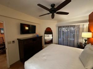 a bedroom with a bed and a ceiling fan at La Paloma in Rosarito Beach