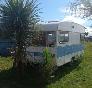 a white and blue caravan parked next to a palm tree at Cosy Caravan in Takaka