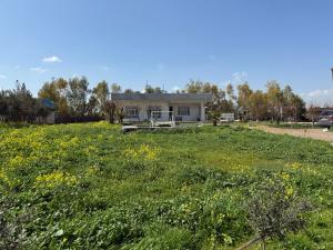 a field of grass with a house in the background at Happy farm in Erbil