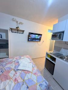 a bedroom with a bed and a tv on the wall at Private Loft Free Parking Pet friendly in Chapulco