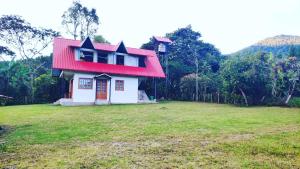 a house with a red roof on top of a field at Cabaña Monte Santo in Oxapampa