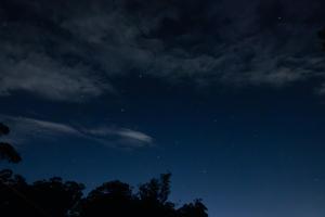 a night sky with stars and trees in the foreground at Saddle House by Tiny Away in Lower Beechmont