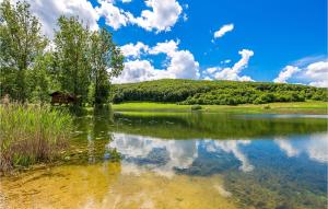 a lake with a house in the middle of it at Beautiful Home In Otocac in Otočac +28 photos
