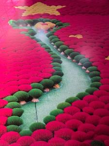 a river filled with red and green plants at Fullhouse Riverside Homestay in Hue