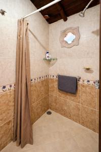 a bathroom with a shower with a shower curtain at Entre el sol y la luna in Taxco de Alarcón