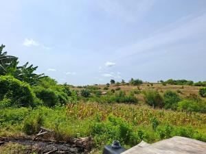 a field of grass with a hill in the background at Amanda Ekas Homestay in Pulau Gilkaliantan +3 photos
