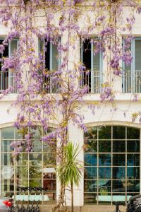 a tree covered in purple flowers in front of a building at Rooms Hotel Batumi in Batumi