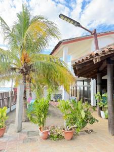 a palm tree in front of a house with plants at Casa villa del mar 2 in Miramar