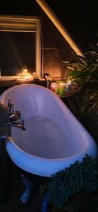 a purple bath tub in a bathroom with lights at Brophys Beach Studio in Whitianga