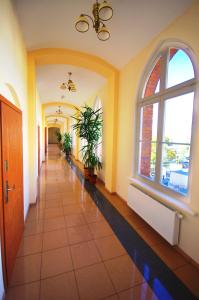 a hallway with yellow walls and a window and plants at Apartamenty Pomerius in Kwidzyn