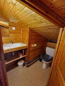 a bathroom with a sink and a toilet in a cabin at Les Chryolles - Les sources in Valmeinier +31 photos