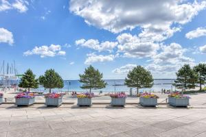a row of flowerpots on a sidewalk near the water at Ankerplatz 607 in Schilksee