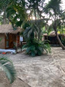 a house with a palm tree in front of it at Yoga Culture Palolem in Palolem