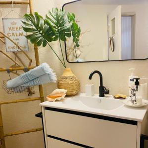 a bathroom sink with a mirror and a plant at Risan Chill in Eilat
