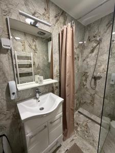 a bathroom with a sink and a shower at Vlasic Apartmani HANA in Vršac