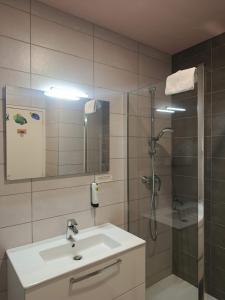 a bathroom with a sink and a shower at Logis Hôtel Le Saint Clément in Saint-Clement-sur-Valsonne