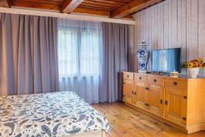 a bedroom with a bed and a television on a dresser at Apartament Fajansowy in Kazimierz Dolny