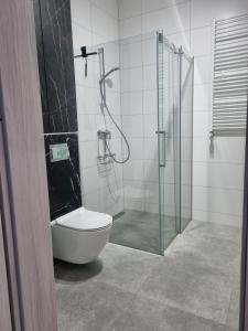 a bathroom with a toilet and a glass shower at Apartament Marzeń 13 in Kostrzyn nad Odrą