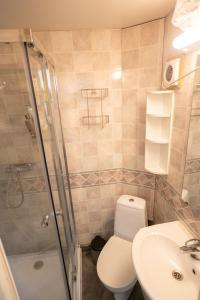 a bathroom with a toilet and a sink and a shower at Chase Base Budget-Friendly Rooms in Tromsø