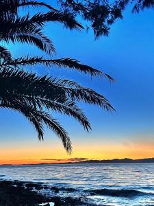 a palm tree on the beach at sunset at Holiday Home Roza in Mirce