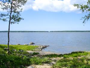 a view of the shore of a lake at Strandkulla in Svalskulla
