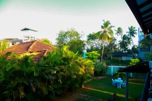 タンガラにあるAnila Beach Innのヤシの木と家の庭を望む