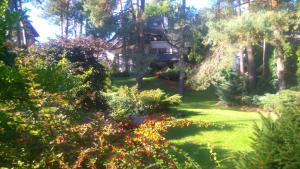 Ogród w obiekcie Pensjon Paradise