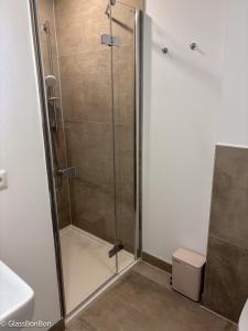 a shower with a glass door in a bathroom at Altstadtflair - Ruppin Quartier Stadtmitte in Neuruppin
