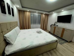 a bedroom with a large bed and a flat screen tv at Cosy Vibe 3 in Vaslui
